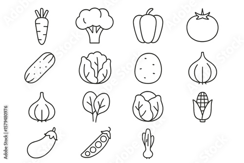 Collection of fresh vegetables arranged in a grid showcasing healthy eating options for meal preparation