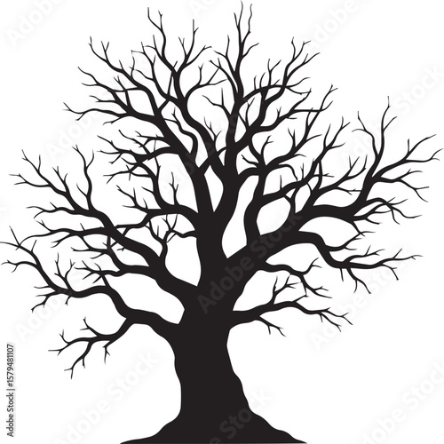spooky dead tree isolated on white or transparent png