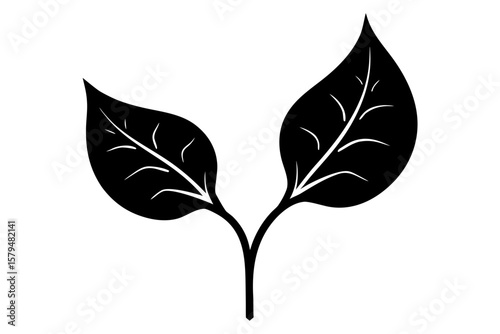 Two simple leaves plant botanical nature silhouette vector illustration