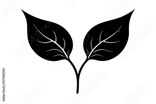 Botanical foliage simple plant leaf organic nature silhouette vector illustration