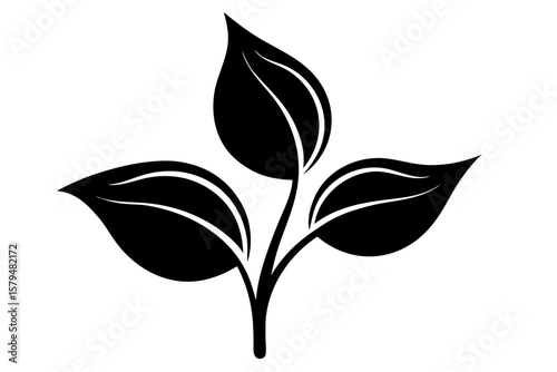 Botanical branch leaves plant floral organic nature silhouette vector illustration