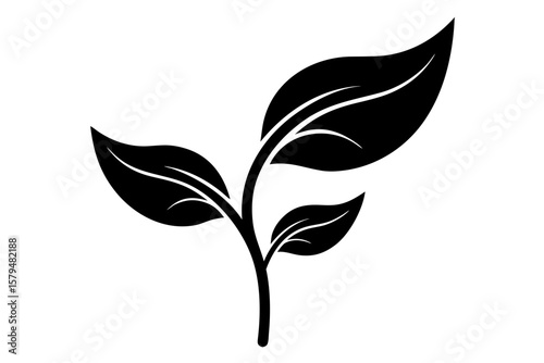 Botanical foliage plant leaf branch nature organic silhouette vector illustration