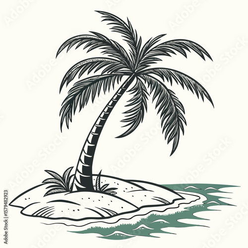 palm tree 