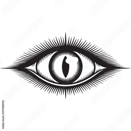A detailed black and white illustration of an eye with radiating lines on a white background on transparent background