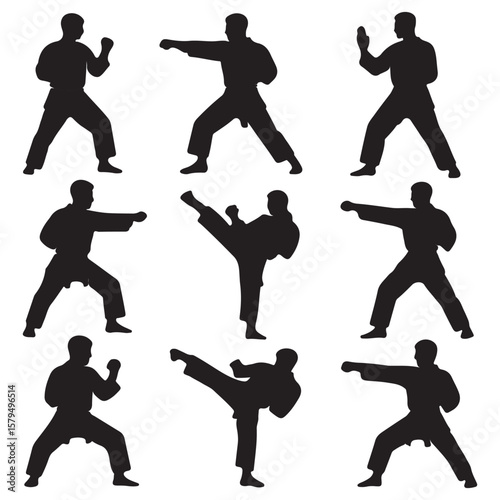 Martial Arts Silhouette Icons Set with Karate, Kickboxing, Fighting, and Defense Poses


