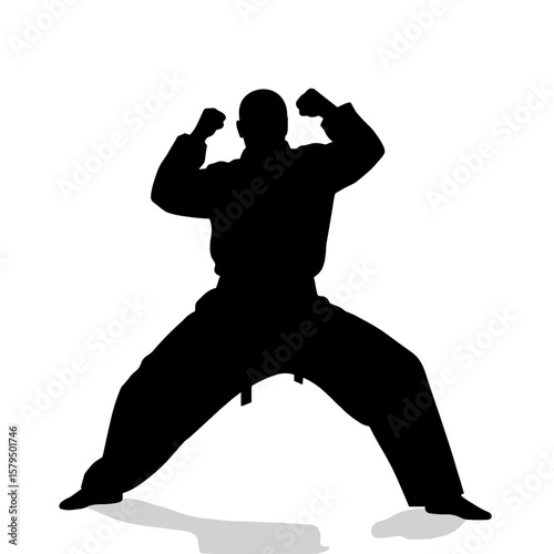 Black silhouette of martial artist performing a stance on white background  