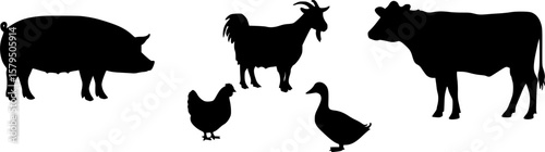 animal in farm pig goat chicken duck cow silhouette
