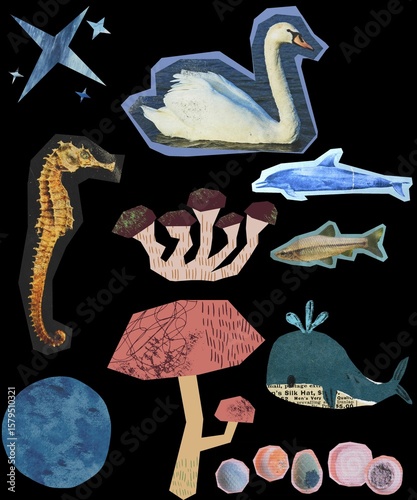  Watercolor Style Marine Animal Collection