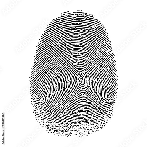Detailed black and white fingerprint illustration with unique ridges and swirls on a white background