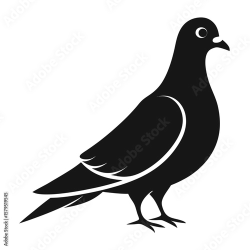 A Pigeon silhouette vector icon on white background