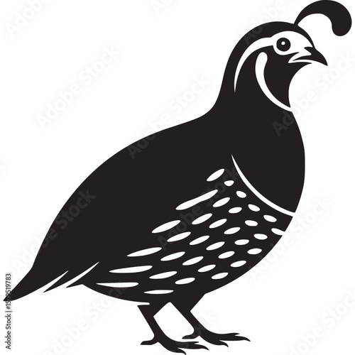 A stylized black and white illustration of a quail bird standing on a white background illustration on transparent background