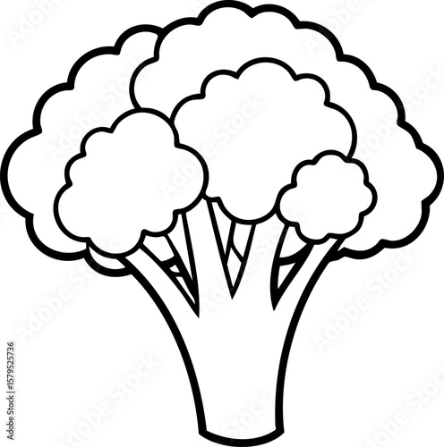 Broccoli vegetable healthy food plant green fresh organic nutrition diet natural vegetarian vegan farm garden produce raw fiber vitamin mineral