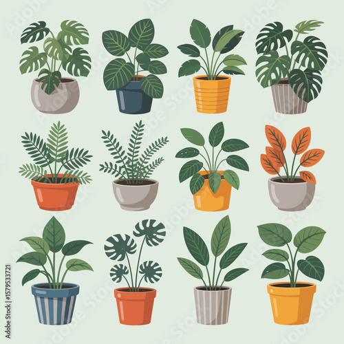 Collection of twelve potted houseplants with varied leaf shapes and colorful pots