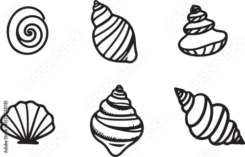 set of  hand drawn line art vector of sea shells