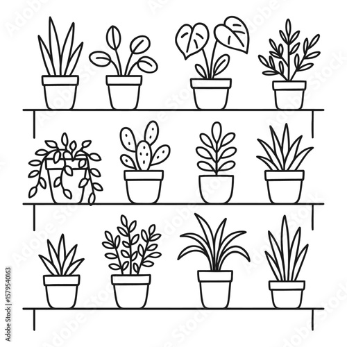 Indoor Potted Plants on Shelves - Botanical Outline Vector Illustration