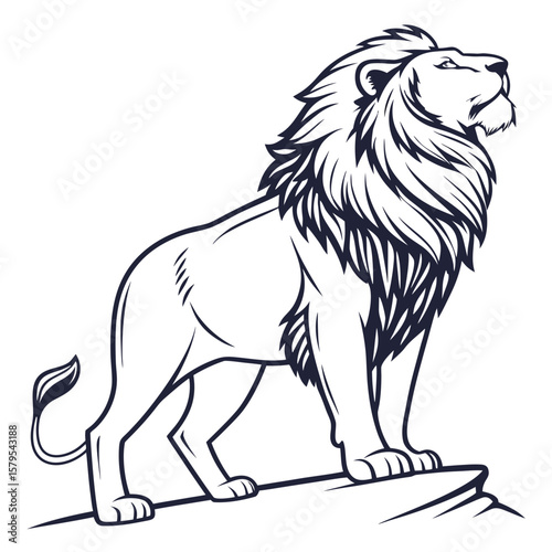 lion vector illustration
