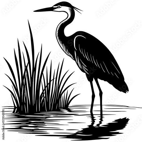 A lone heron stands still amidst tall grass, reflected in the calm, still water.