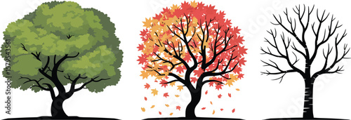 Three trees showing seasons from summer to autumn to winter 