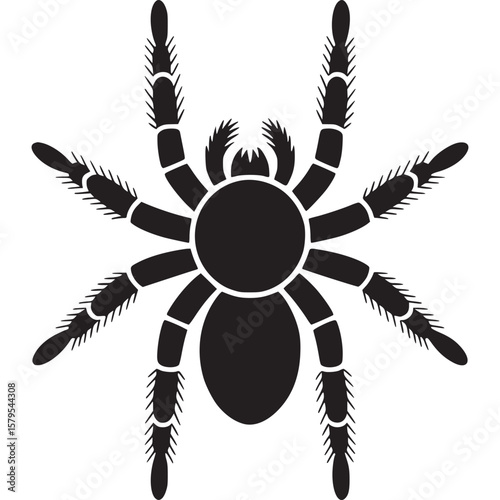 A black silhouette of a tarantula spider with eight legs on a plain light gray background design element on transparent background