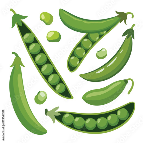 Collection of fresh green peas in pods and loose on a white background