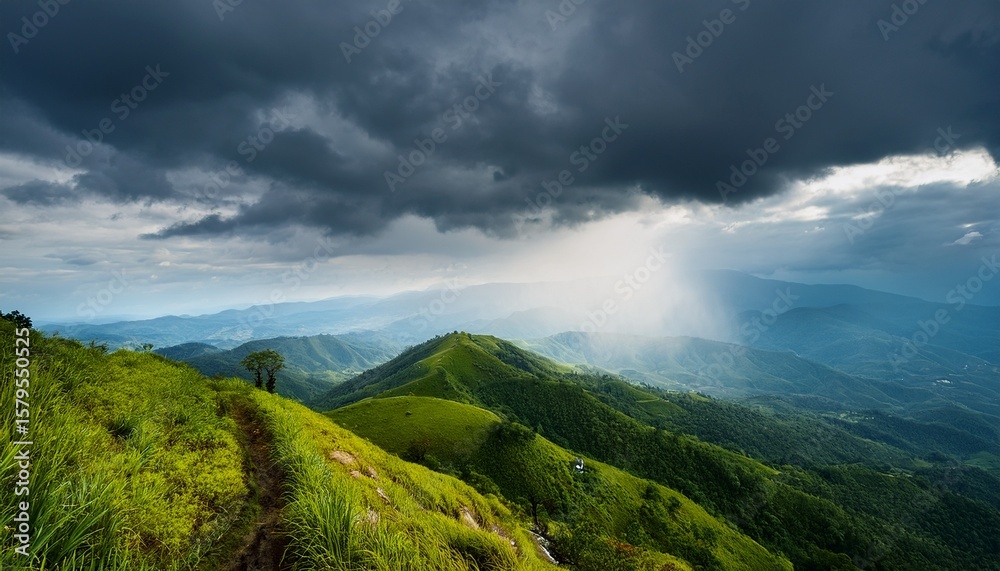 Fototapeta premium the atmosphere when the rainy season on a high hill 12