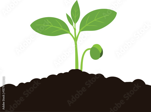 Young green seedling sprouting from rich soil in natural growth environment vector illustration 