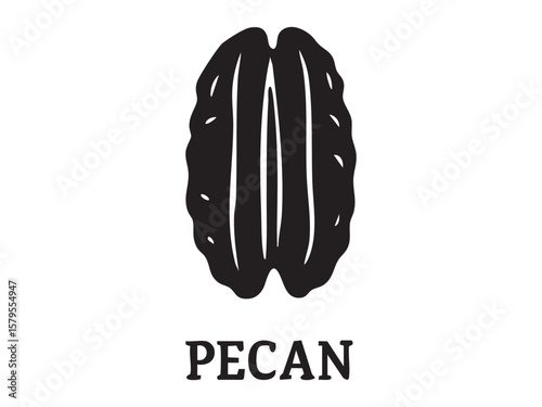 Black silhouette icon of pecan nut, isolated on white background, graphic illustration. concept of food, nut, snack, icon, logo, design element, culinary ingredient