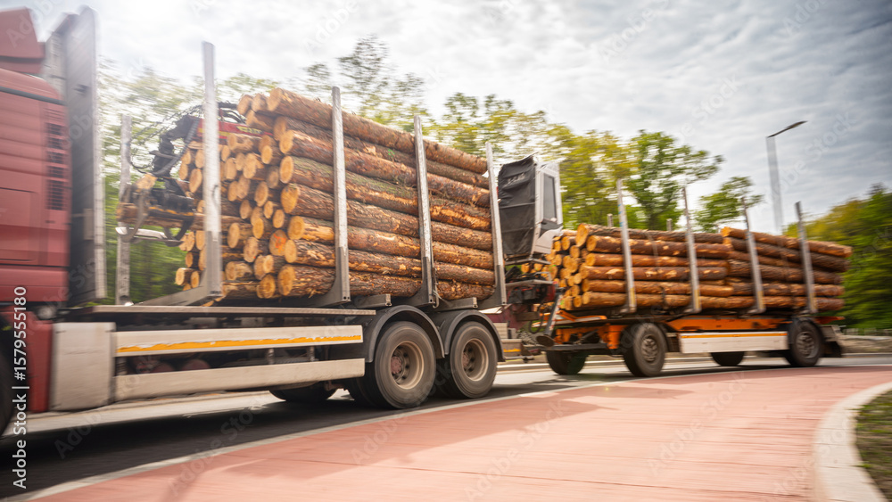 Naklejka premium Holztransport - Transport von Baumstämmen per LKW