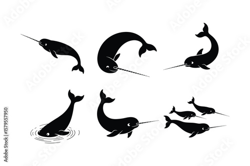 Narwhal silhouettes swimming and breaching whale marine mammal