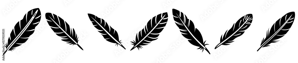 Fototapeta premium Monochrome Illustration of Plumes of Birds, Creating a Design and Pattern