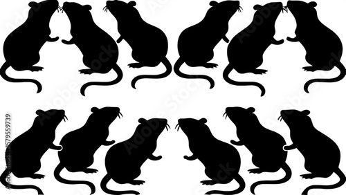 Twelve stylized rat silhouettes arranged symmetrically on a white background. Each rat is in a distinct curled, crouched, or extended position, emphasizing anatomical diversity in a flat, vector-based