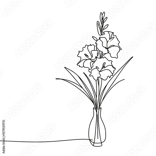 Gladiolus flowers in vase line drawing on white background