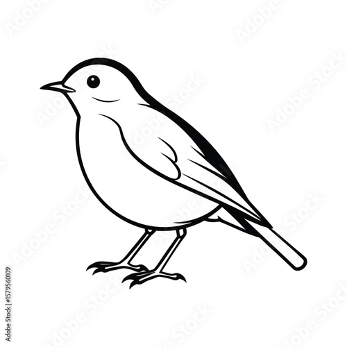 A robin line art silhouette vector illustration on white background
