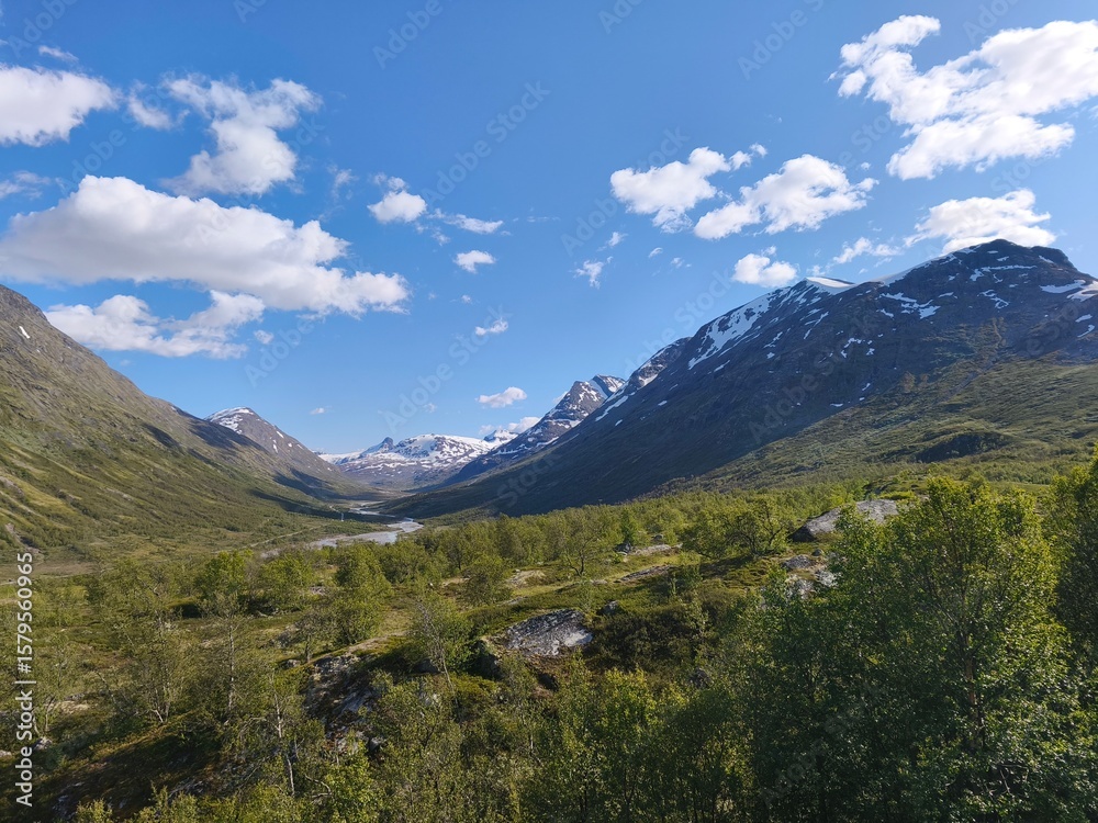 Obraz premium beautiful nature of norwegian scandinavian highlands