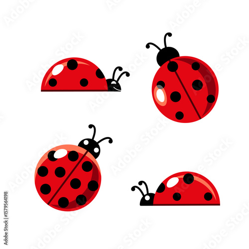 Ladybug Vector Illustration Top and Side View. Cute ladybug . Perfect for kids' decor, nature themes, and educational projects.