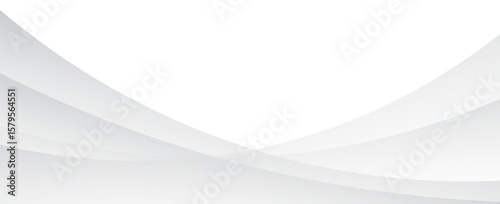 Vector gray line background curve element with white space for text and message design. illustartion