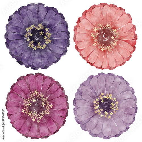Fototapeta Naklejka Na Ścianę i Meble -  Watercolor Illustration of Pink and Purple Flowers on Transparent Background