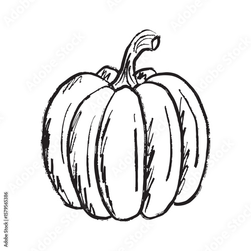 Pumpkin drawing in black brush stroke texture isolated on white. Hand drawn vector sketch illustration in vintage charcoal ink. Autumn symbol, Halloween, harvest design, vegetable design