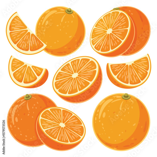 Collection of whole halved and sliced oranges on a white background