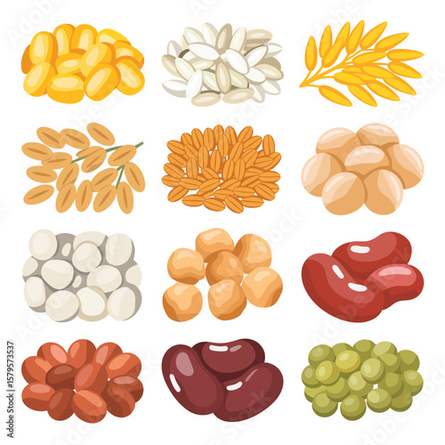 Collection of various grains and legumes arranged in piles and on stalks