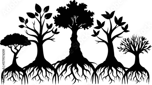 6 Tree and Root Silhouette Vector Illustrations