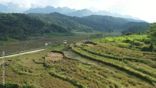 Verdant rice terraces cascading through Pu Luong valley, revealing multilayered agricultural landscape framed by mountainous green terrain in northern Vietnam