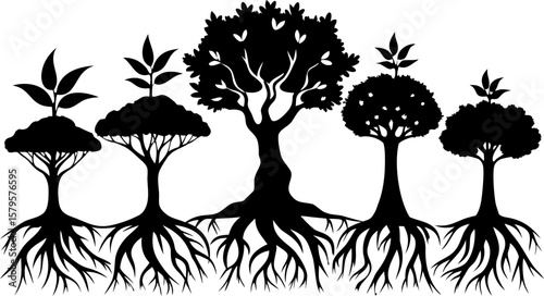 6 Tree and Root Silhouette Vector Illustrations