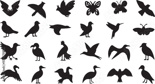 Black bird and butterfly silhouettes white