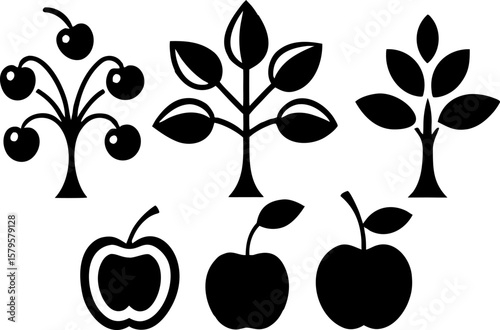 6 Fruit Tree Silhouettes Vector Set