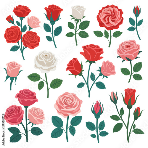 Collection of Colorful Roses in Various Stages of Bloom