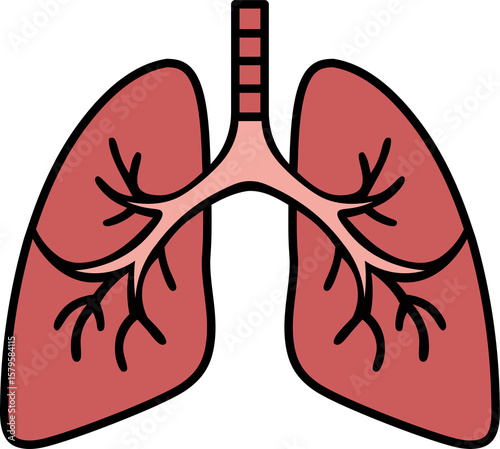Human Lungs Icon