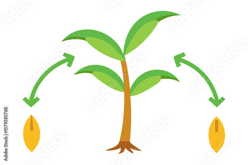 green sprout growing from the ground