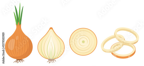 Set of Onions icons. Onion bulb in peel, half and rings. Yellow Head of onion with green sprout and pieces. Cook ingredients, spices. Organic food. Vector illustration isolated on white background.