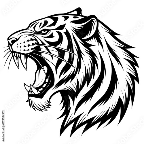 Aggressive tiger head roaring with open mouth and sharp teeth silhouette isolated on white background